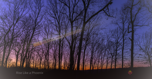A faint flute glowing through a twilight forest beneath a violet and gold evening sky.