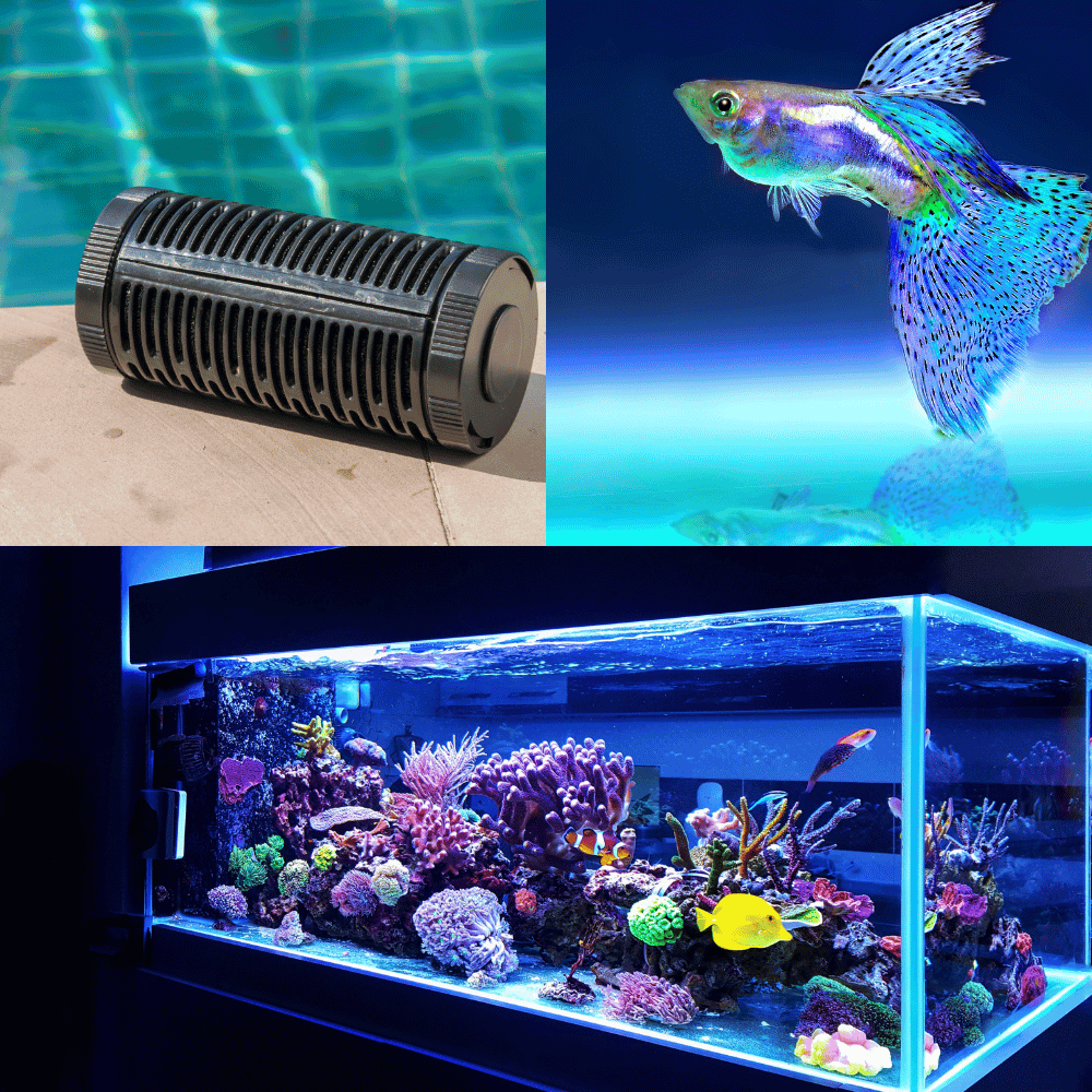 Best Aquarium Filter: A Comprehensive Review