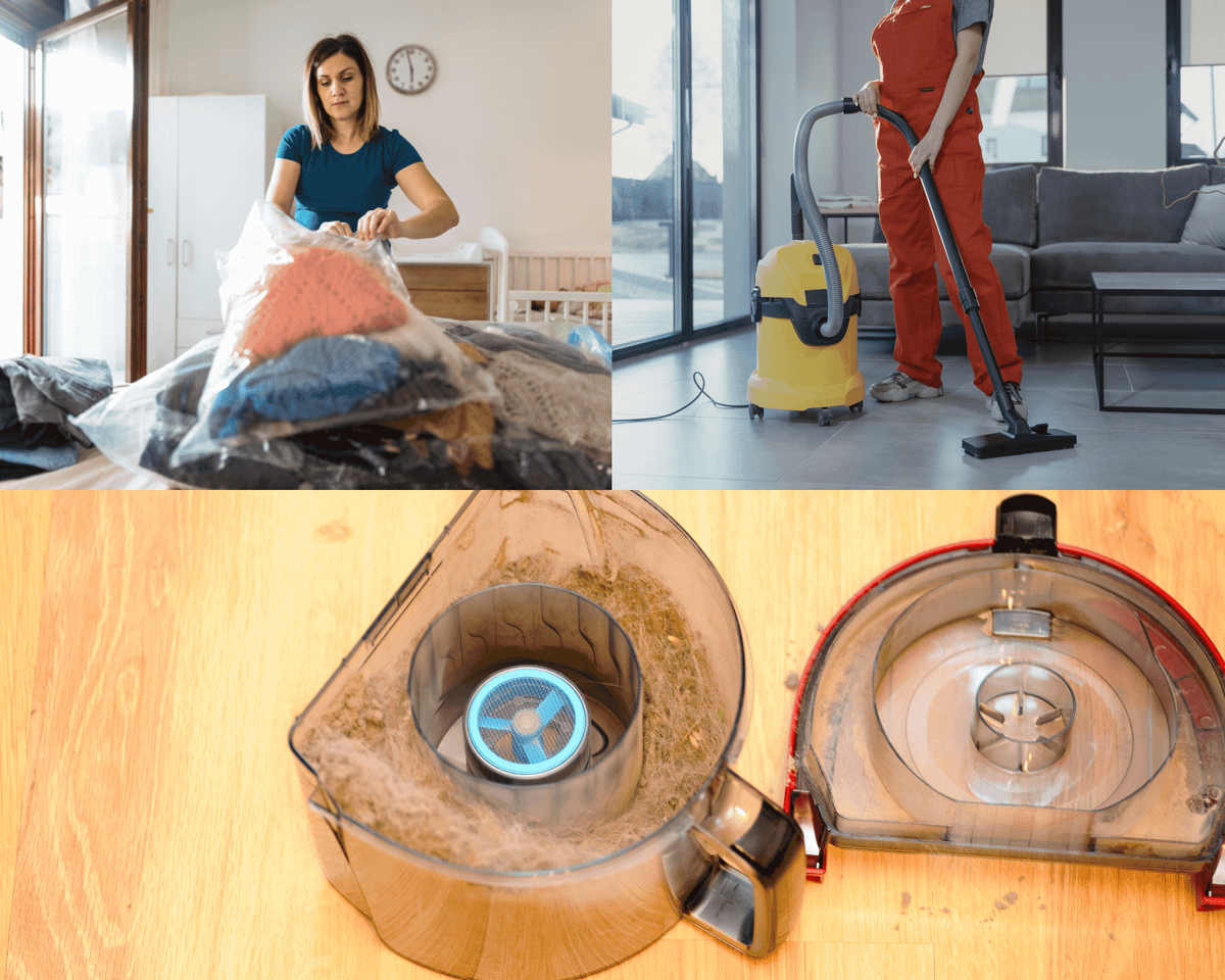 Best Bagged Vacuum Cleaners That Will Transform Your Cleaning Routine!