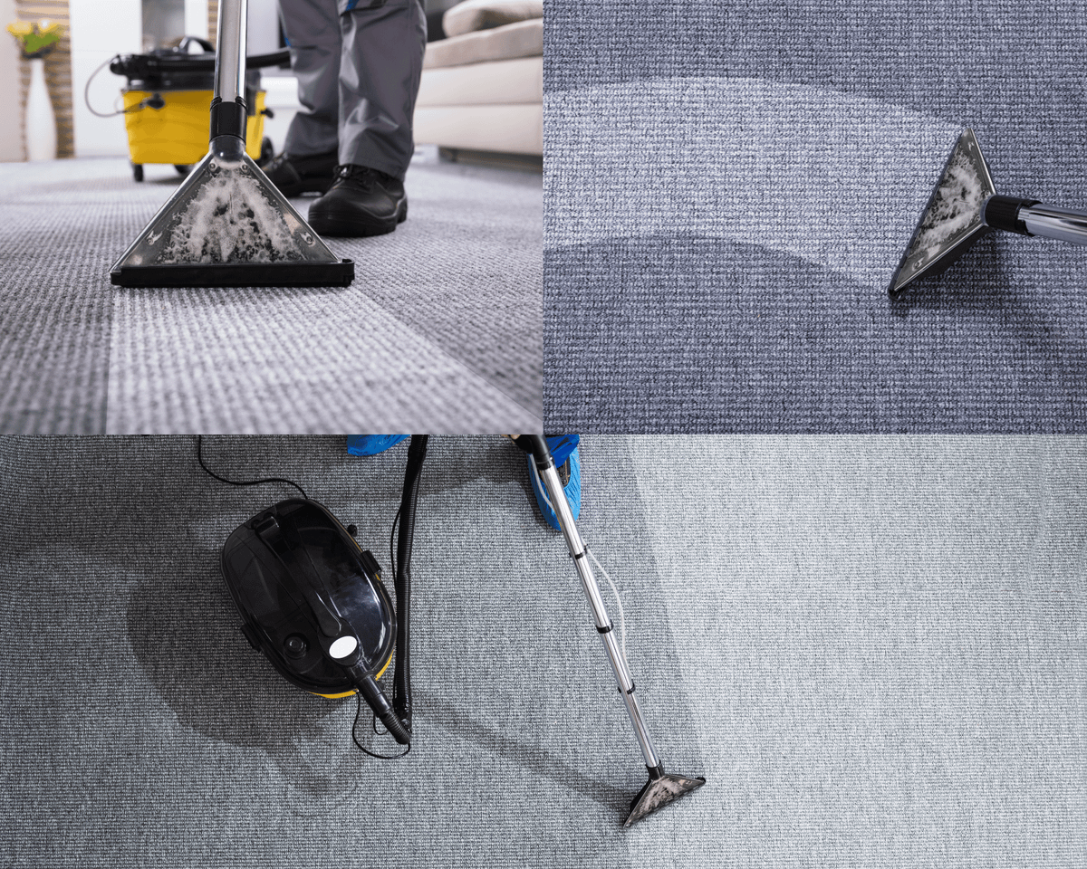 Can You Wash a Carpet with a Wet and Dry Vacuum Cleaner?