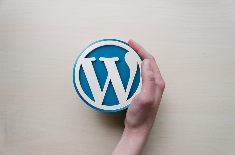 WordPress Unveils Experimental AI Tool ‘Telex’ to Simplify Website Building