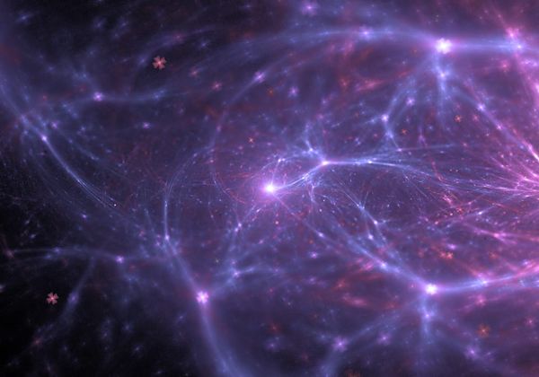 This AI Video Model Learned From Real Neurons—and Cuts Inference Costs by 80%