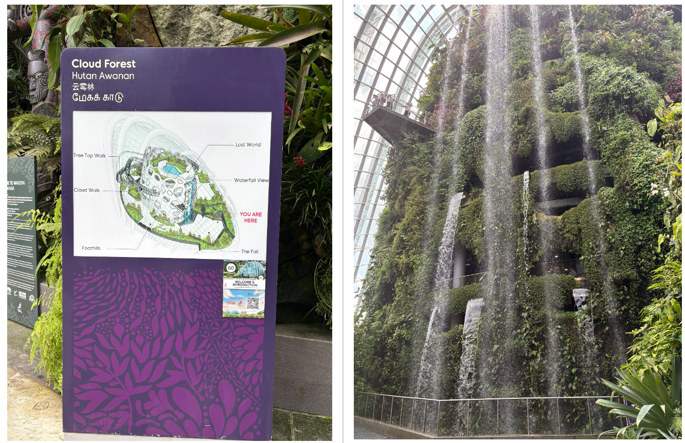 新加坡自由行 Day 2:週末快閃兩天自助旅!濱海灣花園、濱海灣金沙酒店、牛車水&樟宜機場!