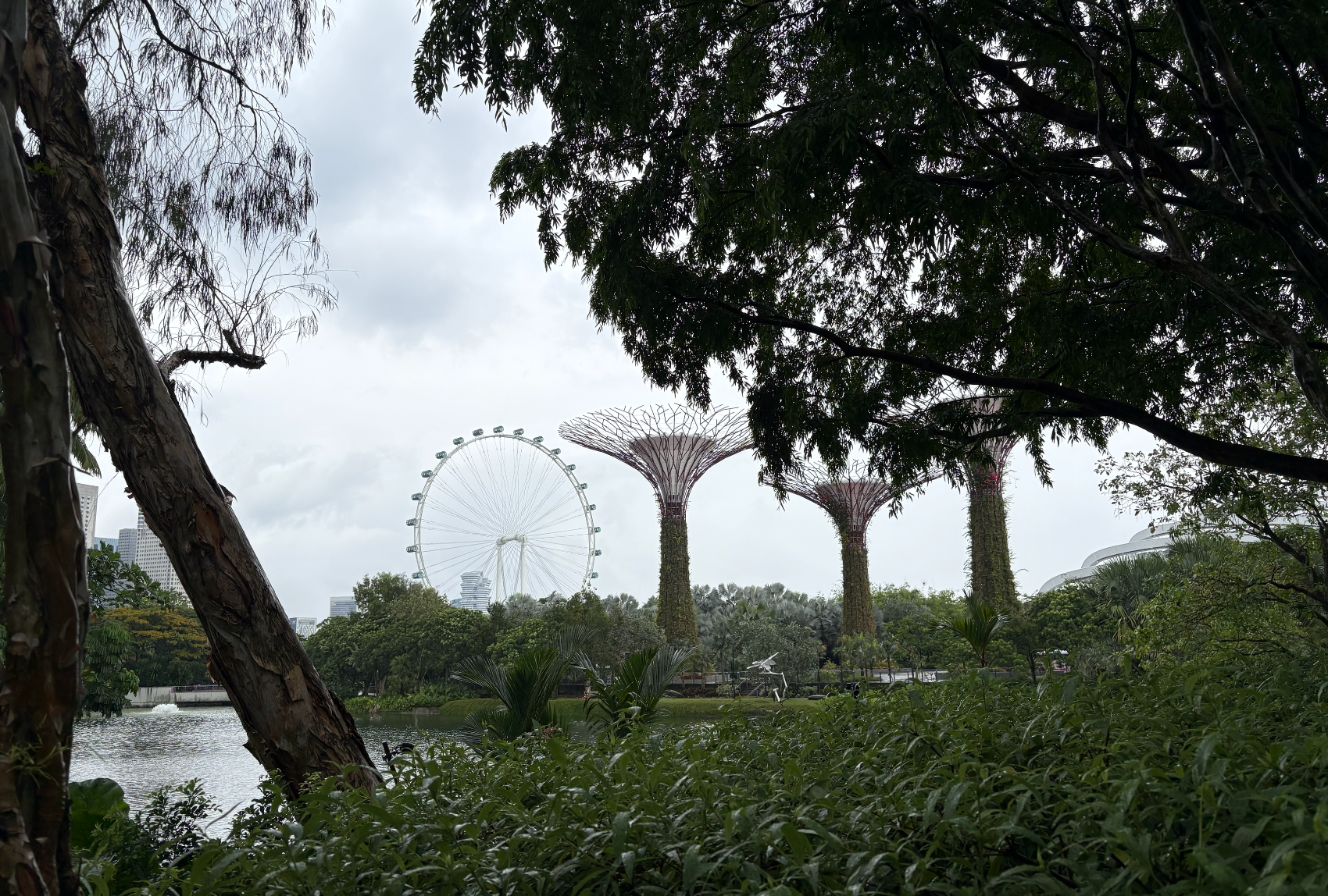新加坡自由行 Day 2:週末快閃兩天自助旅!濱海灣花園、濱海灣金沙酒店、牛車水&樟宜機場!