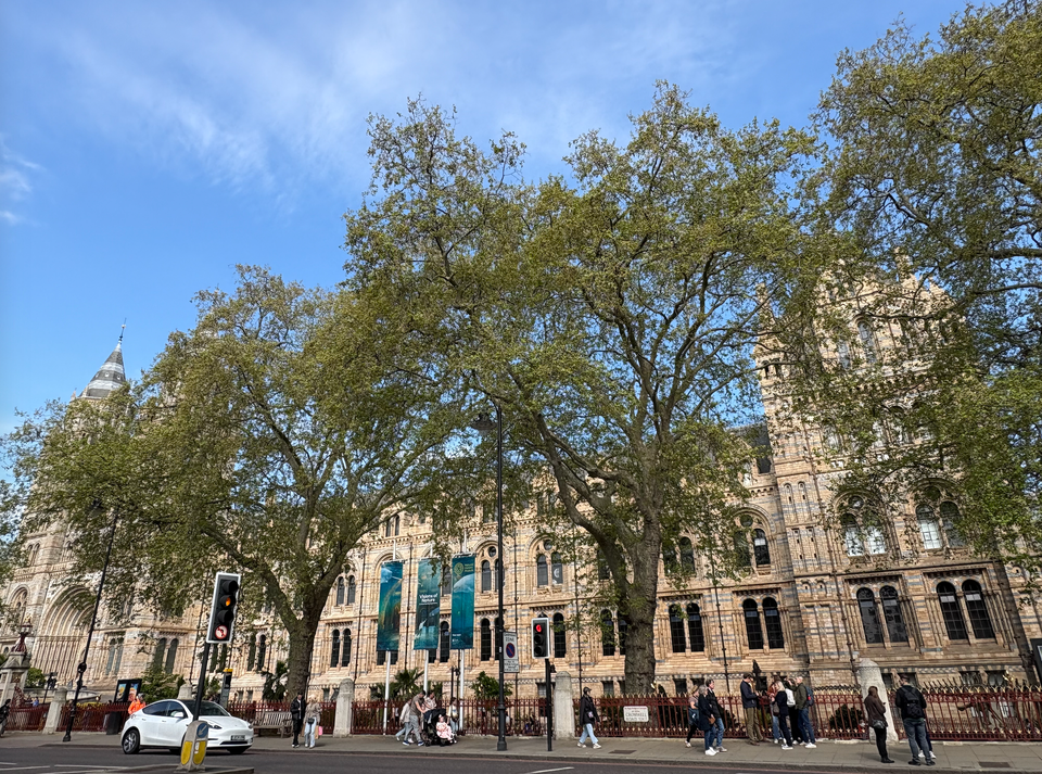 歐洲旅遊 - 倫敦自由行（上）：自然歷史博物館、大笨鐘、倫敦眼、Piccadilly Circus 和 SOHO 區！