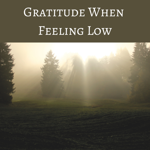 Gratitude When Feeling Low
