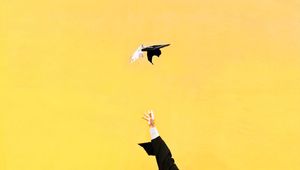 What they don’t teach you at software university: 5 insights