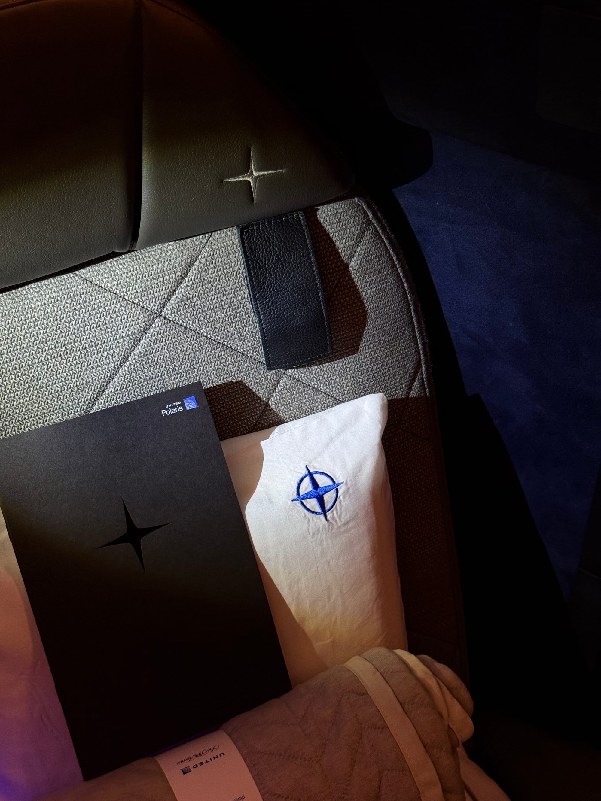 Suede headrest detail with United compass logo, Polaris 2.0