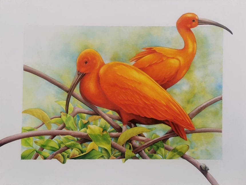 Corinne Poplimont artwork
