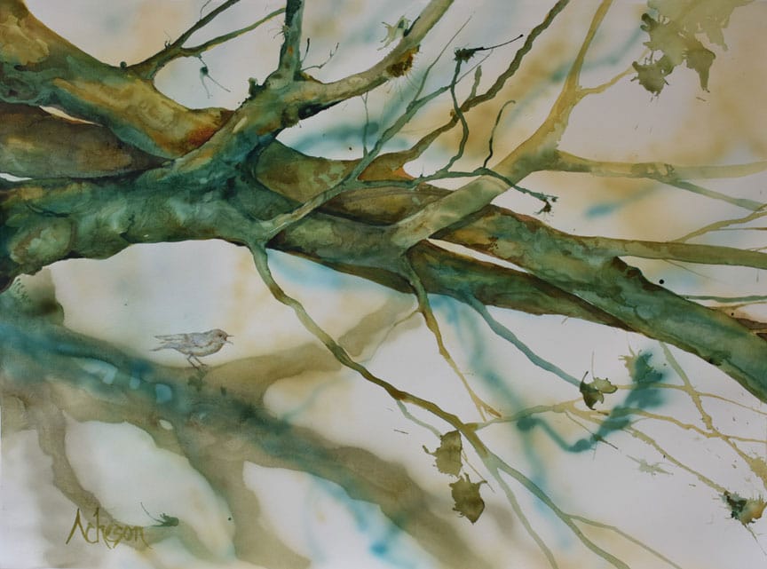 Donna Acheson-Juillet artwork