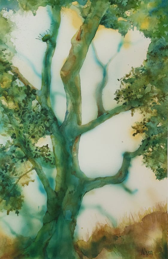 Donna Acheson-Juillet artwork