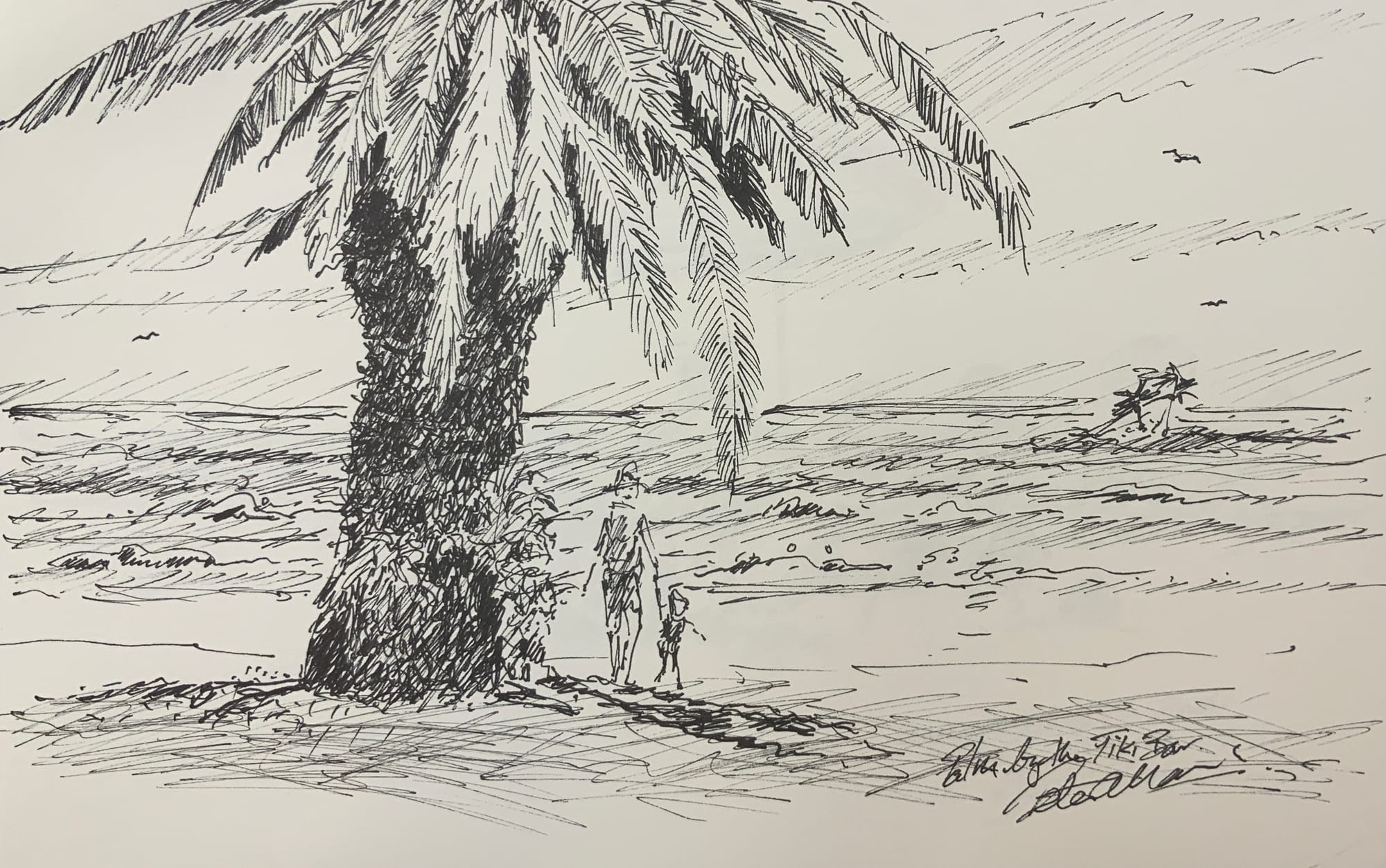 My Sketchbook