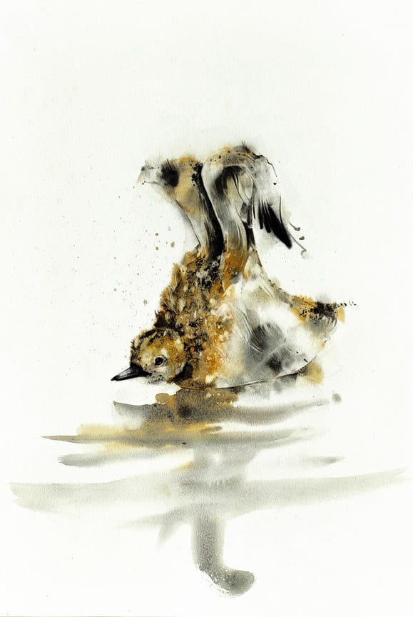 Franck Rollier artwork