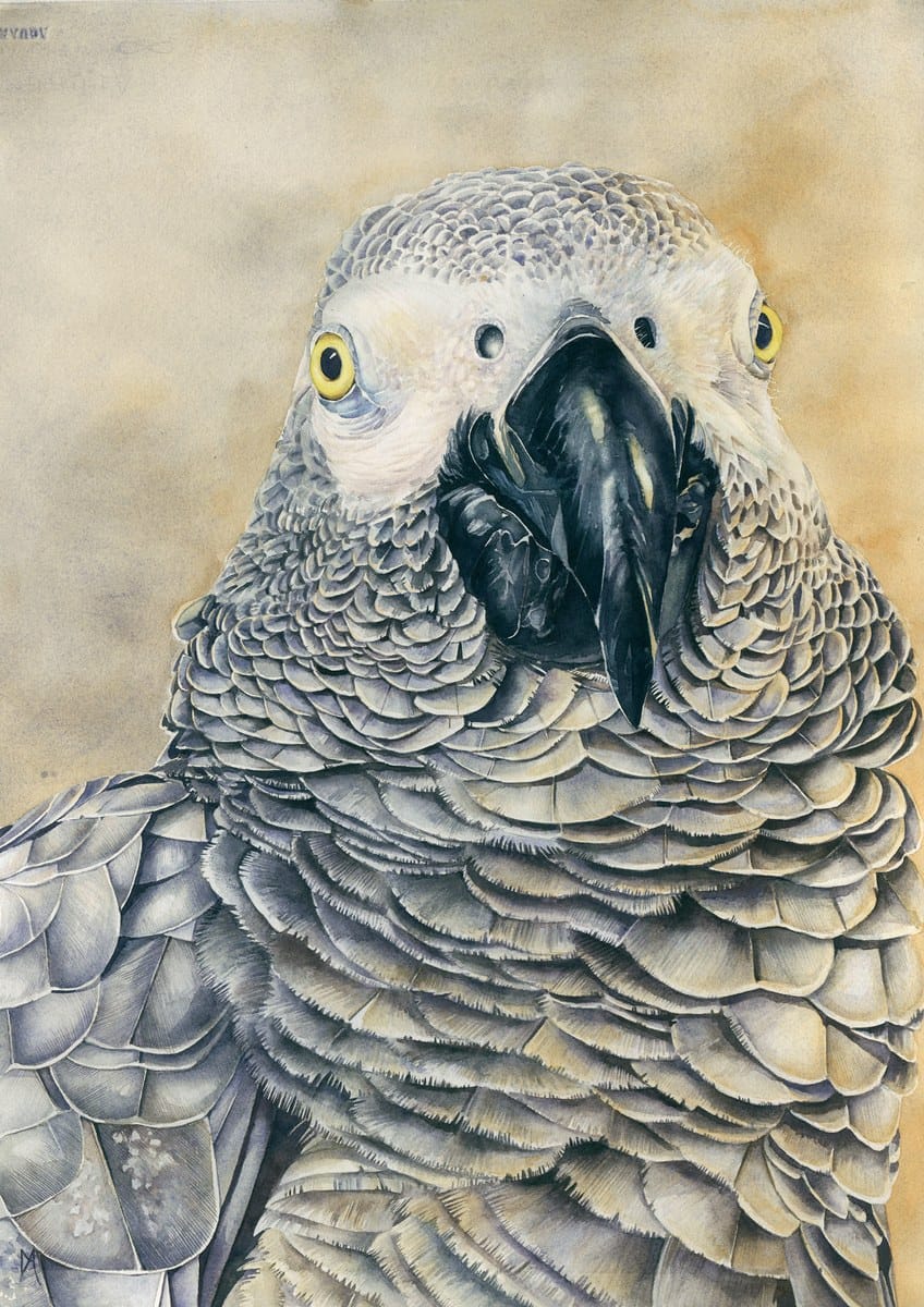 Missy Acker — “Born to Bask”, Watercolour