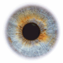 Eye Know