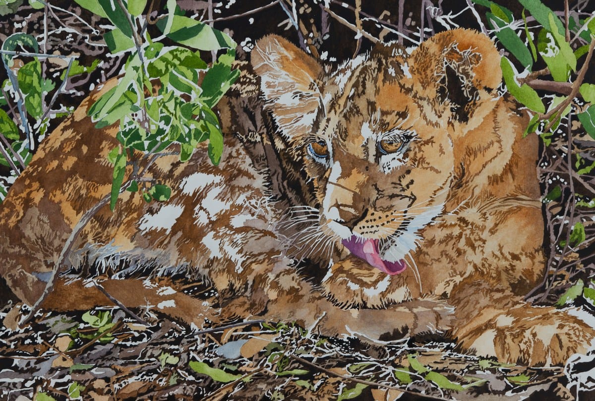 Rita Thornton — “Lion Cub In Hiding”, Transparent Watercolor