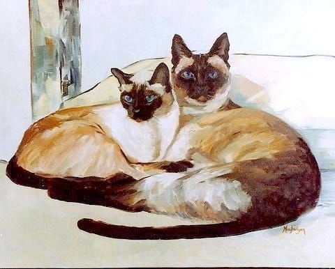First cat portrait? -
