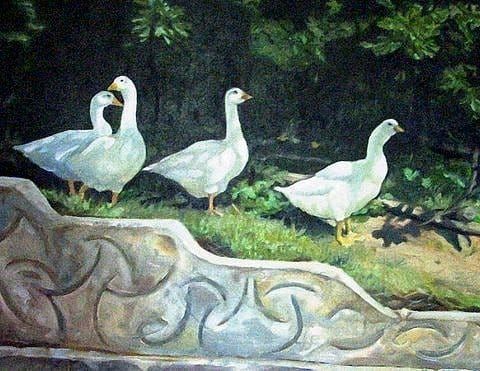 Geese -