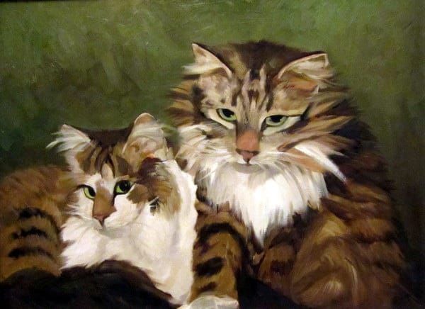 Apparently cats don't blink.... -