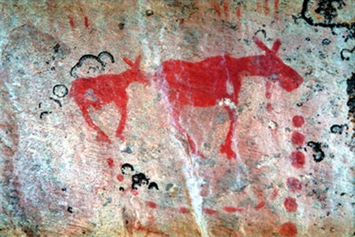 National Indigenous Peoples Day