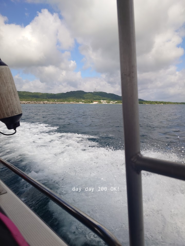 出海搵海龜！