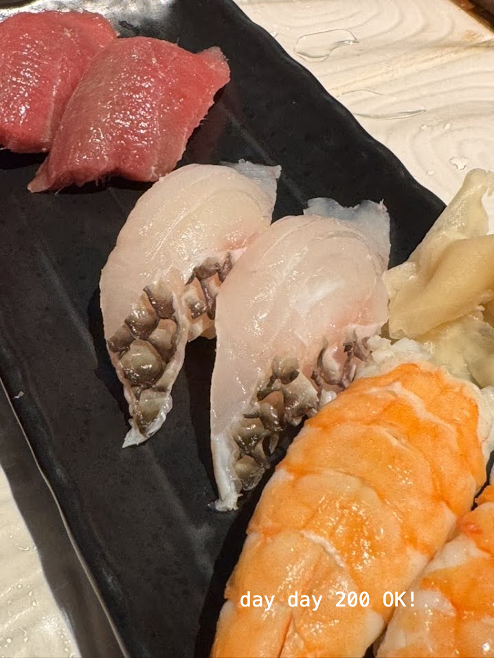 鸚哥魚壽司