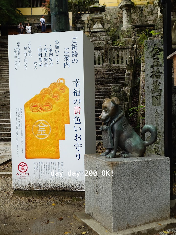 金刀比羅狗呀！幸福黃色御守