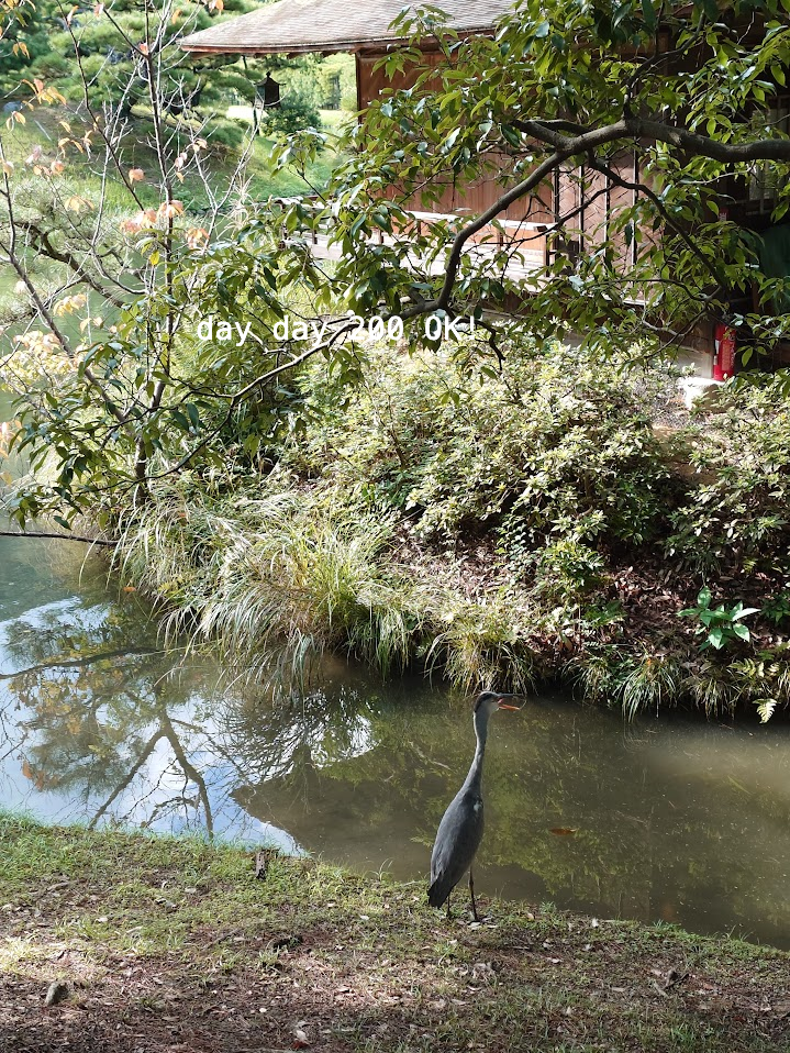 栗林公園