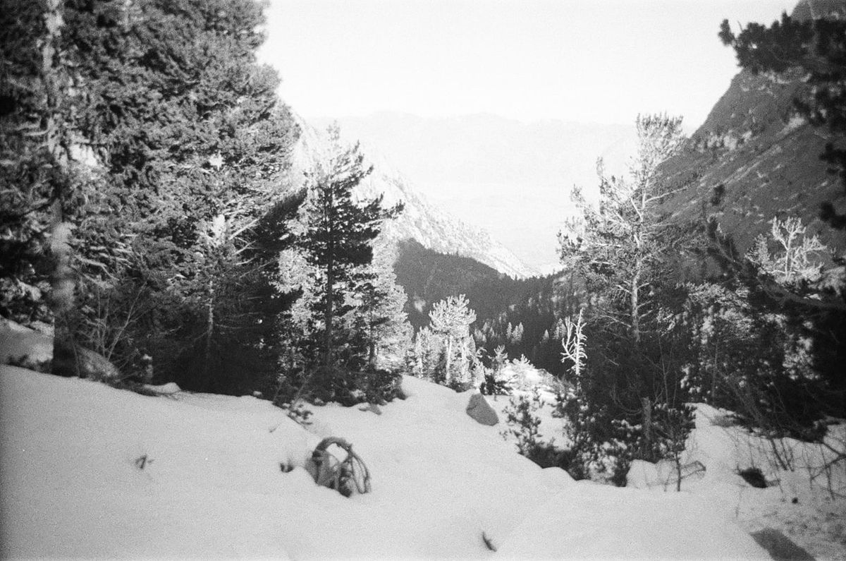 Mt. Whitney
