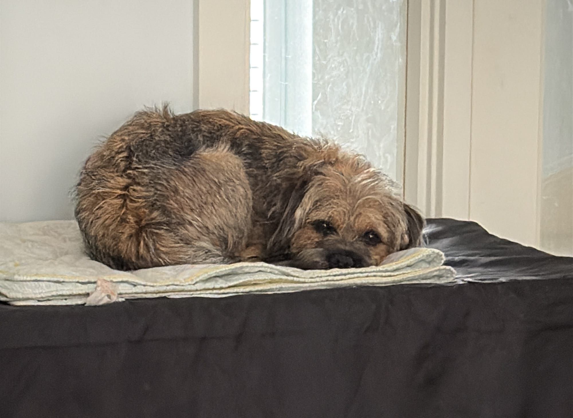 Daynote - Fri 25 Jul