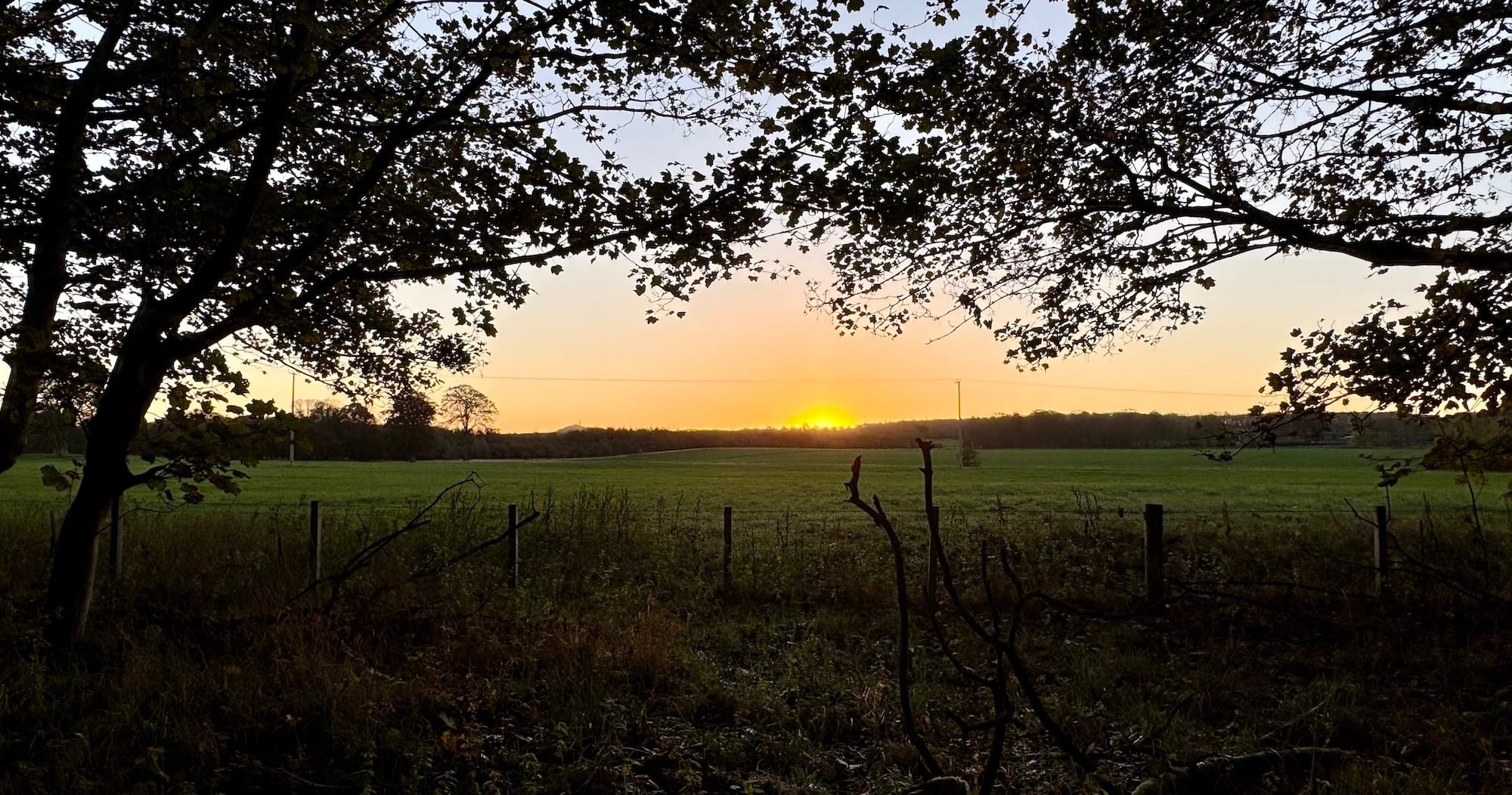 The sun rising over fields, framed by trees.