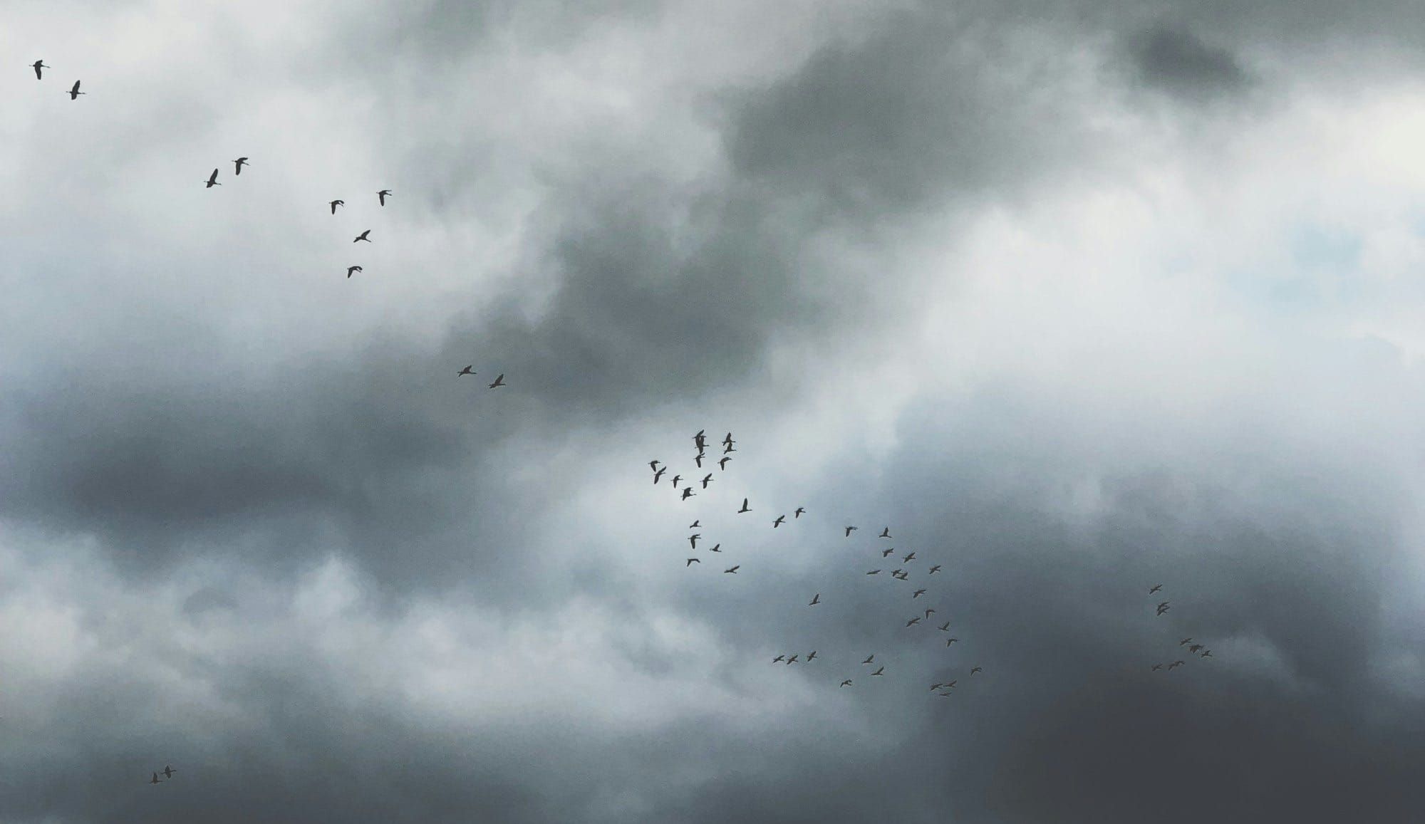 Daynote - Mon 24 Nov