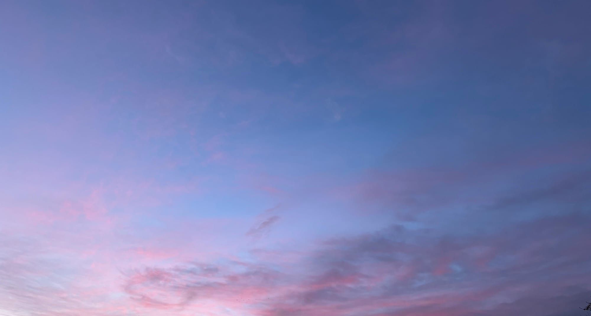A blue early morning sky with clouds lit pink by sunrise
