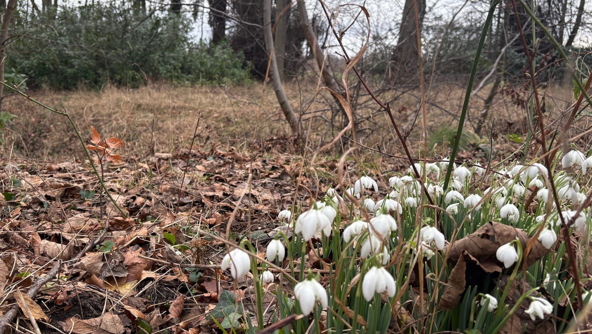 Daynote - Wed 18 Feb 2026