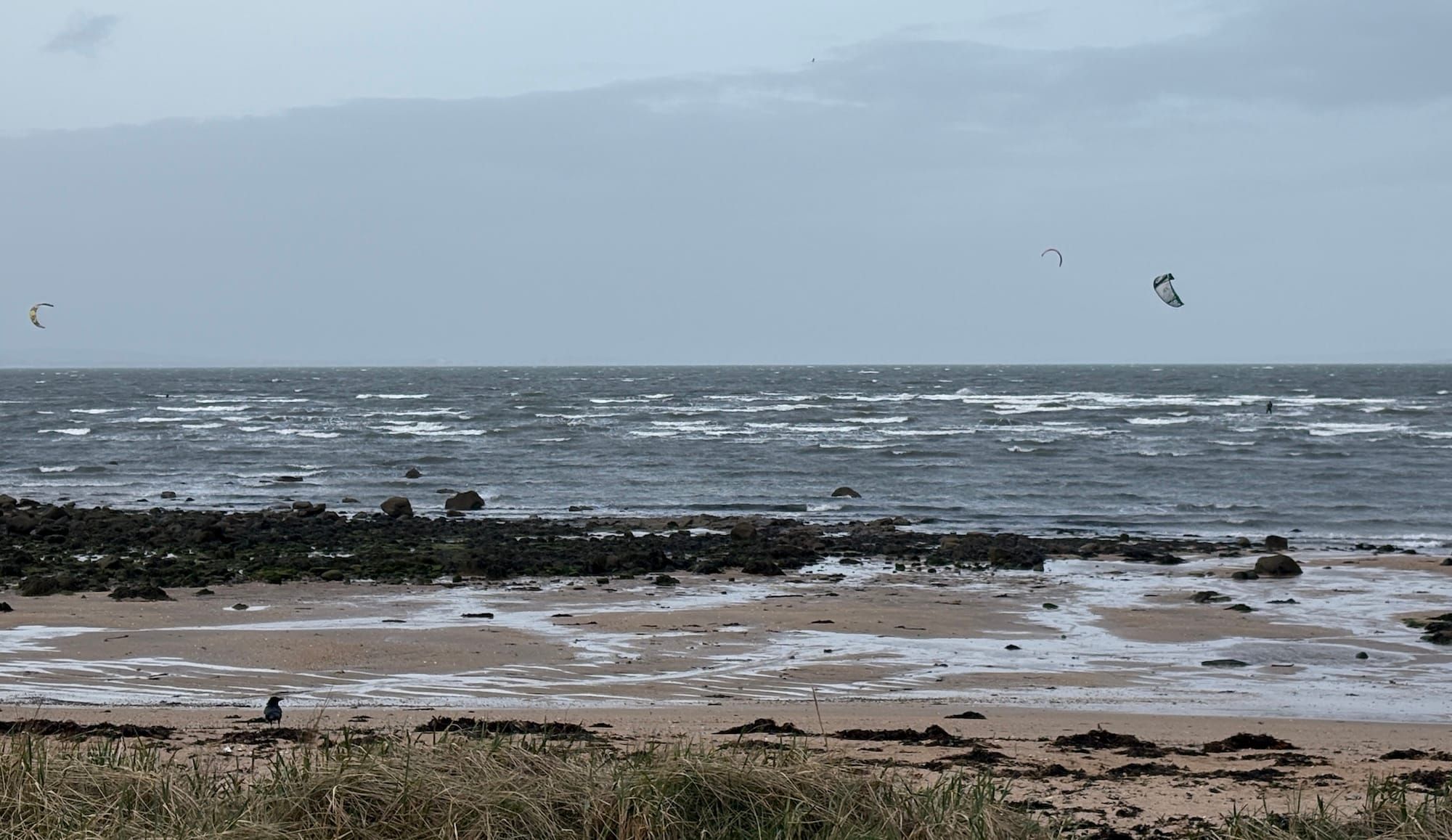 Kite surfers at the beach