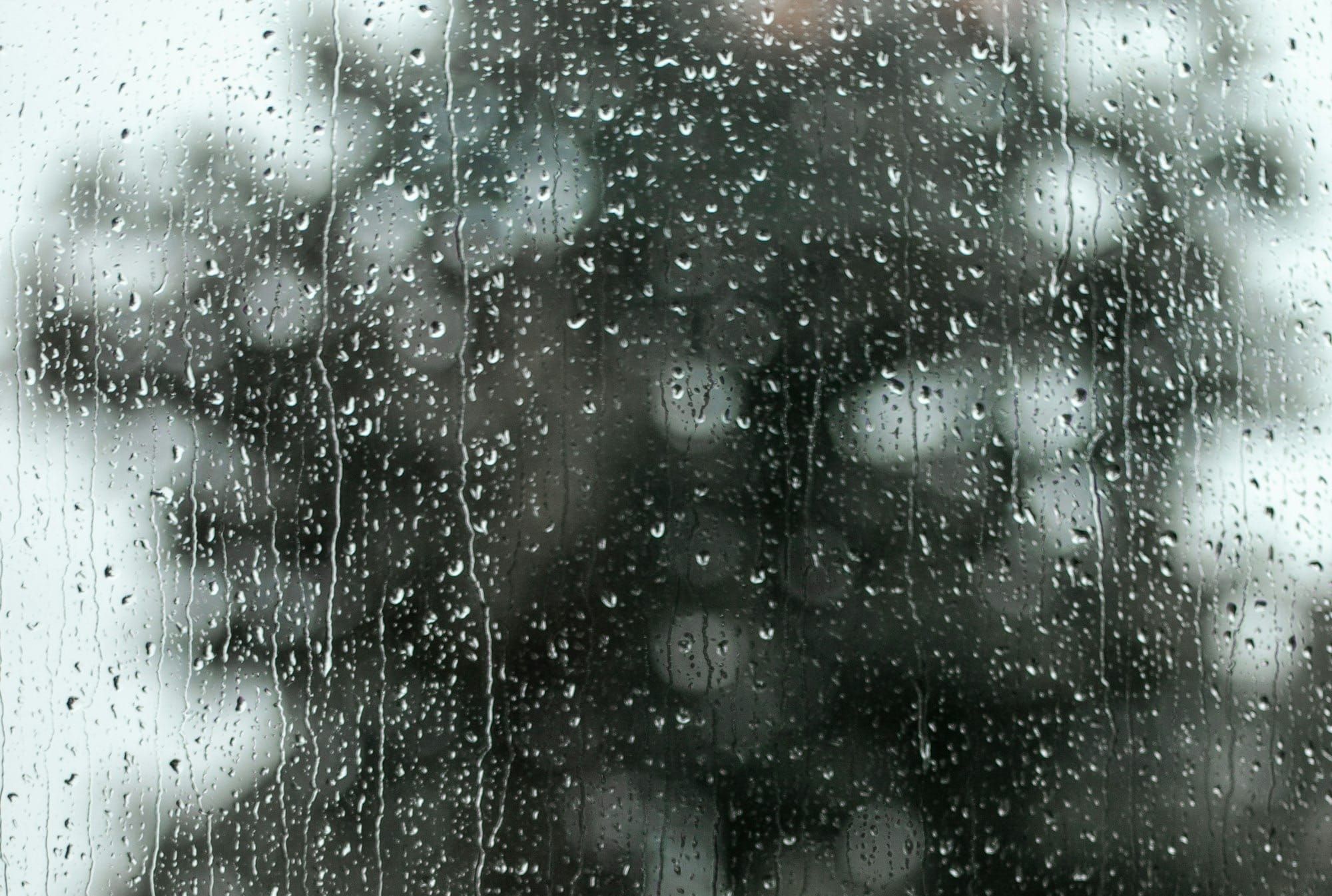 Daynote - Thu 12 Mar 2026