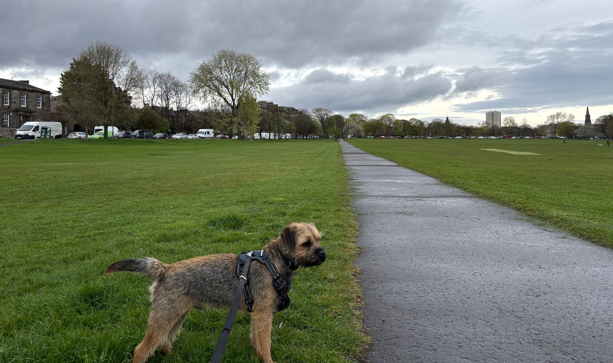 River on Leith Links with green grass, a path and a grey sky, trees and buildings in the background