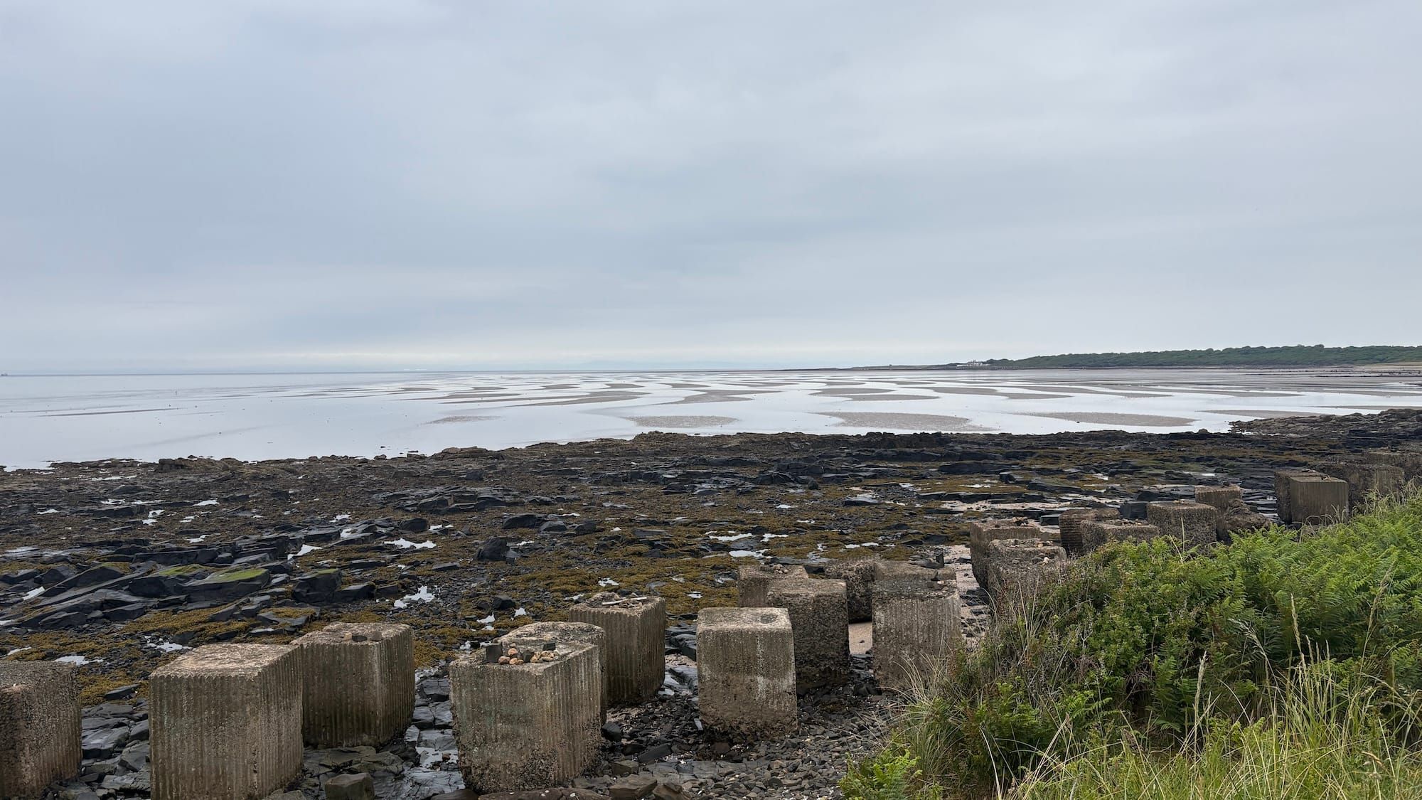 Concrete anti-tank blocks, rocks, tidal sands, woods in the distance