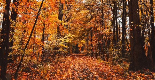 Daynote - Mon 28 Oct