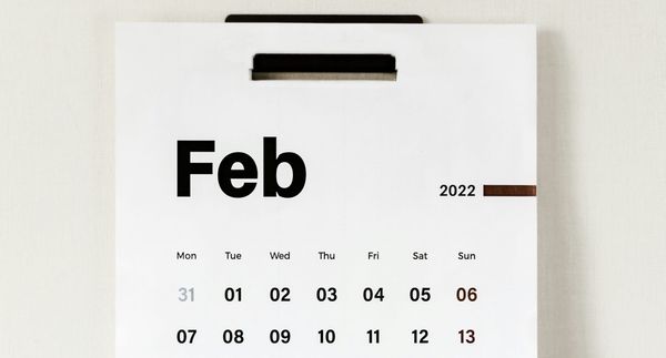 What I'm up to - February 2022