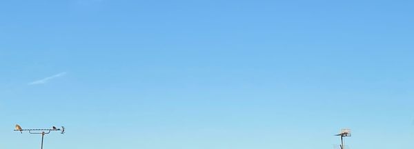 An image of blue sky, with two TV aerials and birds sitting on the left aerial.