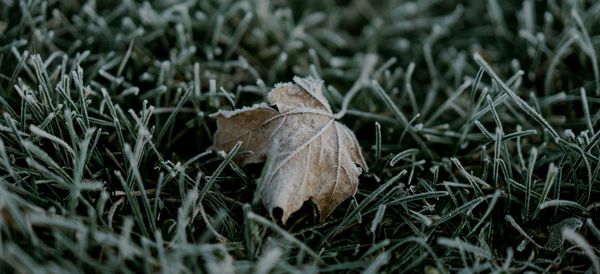 Daynote - Wed 22 Jan