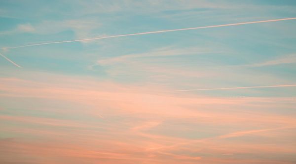 Daynote - Thu 20 Feb