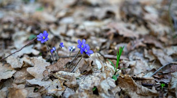 Daynote - Mon 31 Mar