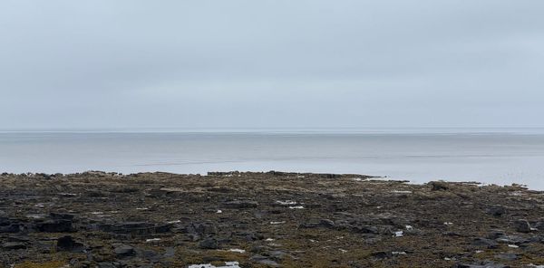 A rocky beach foreshore, with grey sea and sky in the background