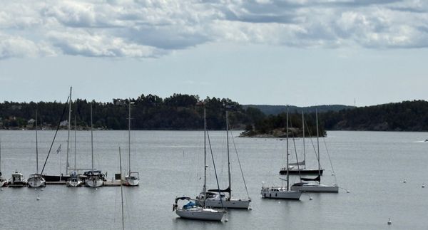 Yachts at anchor in front of wooded islands