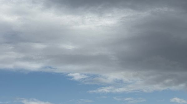 Daynote - Tue 15 Jul