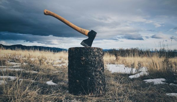 Daynote - Fri 22 Aug