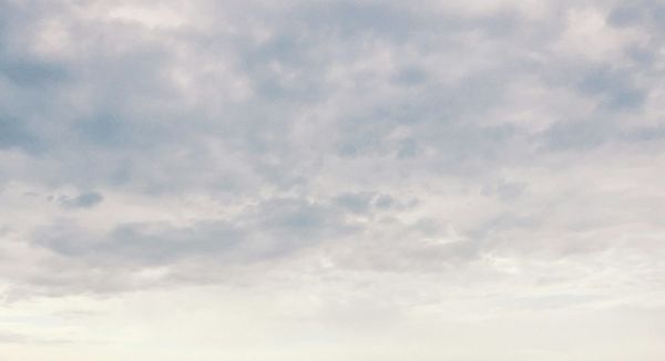 Daynote - Fri 15 Aug