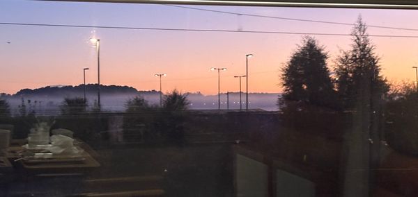 Trees and lights with morning fog and a peach-coloured sky